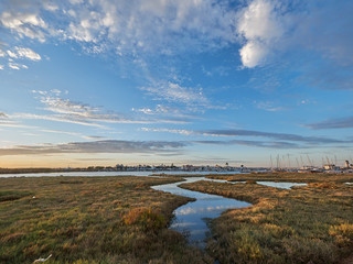 marismas isla canela huelva