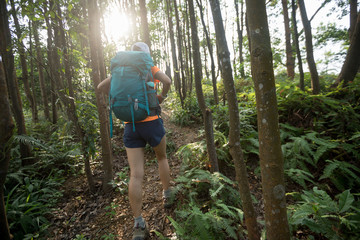 Naklejka na ściany i meble Woman backpacker hiking in summer rainforest mountain