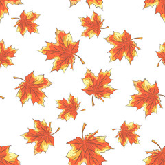 Fototapeta premium Seamless pattern with hand drawn autumn leaves on white background