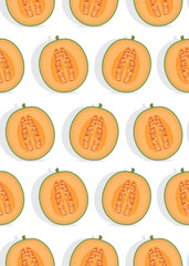 Melon half seamless pattern on white background with shadow, Fresh cantaloupe melon pattern background, Fruit vector illustration.