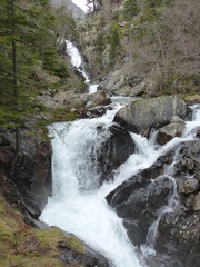 Cascadas en el bosque