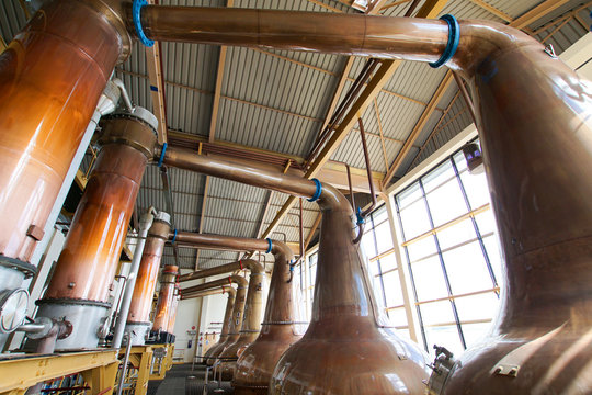 Copper stills in a whisky distillery