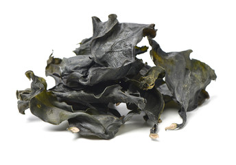 Kelp on white background