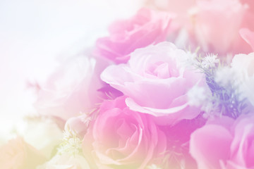 Blurred of Rose flowers blooming. in the pastel color style for background.