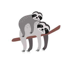 Sloth with baby resting on tree branch isolated on white background © Good Studio
