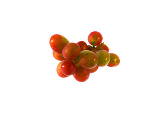 grape isolated on white background