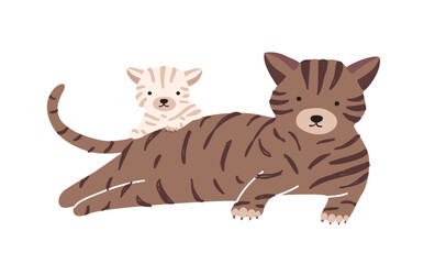 Fototapeta premium Cat with cub isolated on white background