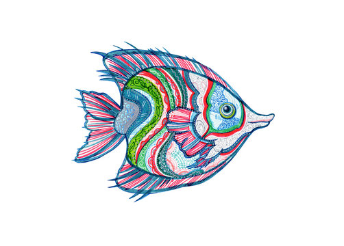 Cute colorful fish with patterns. Hand-drawn markers. Stylized character - marine life on an isolated background.
