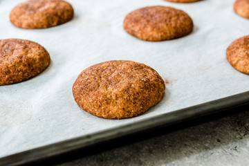 Cinnamon Cookies Snickerdoodle on Baking Paper with Oven Tray.
