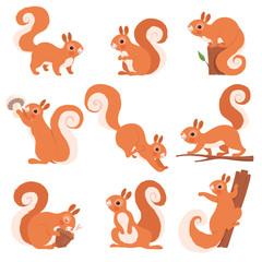 Cartoon eekhoorn. Grappige bos wilde dieren lopen staande en springen vector eekhoorn clip art collectie. Eekhoorn wild, dieren in het wild zoogdier illustratie