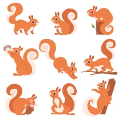 Fototapete Waldtiere Cartoon-Eichhörnchen. Lustige Waldwildtiere, die stehende und springende Vektoreichhörnchen-ClipArt-Sammlung laufen. Eichhörnchen wild, wild lebende Tiere Säugetier Illustration