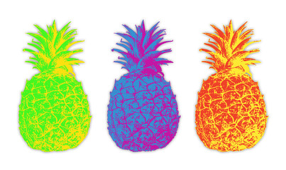 Set of three exotic pineapples with leaves set against a white background. Decorative drawing-like stylized image with selective colors as fabric or paper print, interior decor or fashion inspiration.