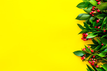 Fototapeta na wymiar Summer pattern with green plants and red berries on yellow background top view mockup
