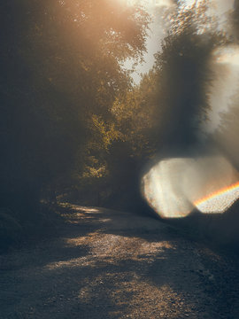 Sun flare on path