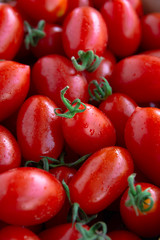 fresh cherry tomatoes with water drops