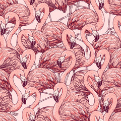 Pink flamingo seamless pattern. Beautiful bird bacground. Vector illustration