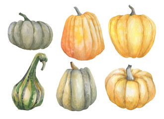 Set of ripe big pumpkins. Watercolor. Autumn harvest.