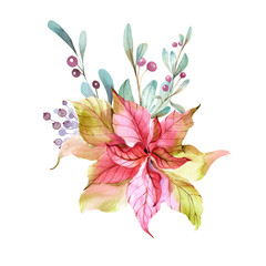 Bunch of poinsettia branches with leaves and berries. Watercolor.