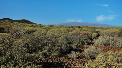 The coastal walk between Montana Amarilla and Amarilla Golf resort, a perfect solitary hiking path with stunning inland vistas towards Teide peak and towards Atlantic, Tenerife, Canary Islands, Spain