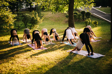 Group of young women are stretching in Downward Facing Dog exercise, adho mukha svanasana pose....