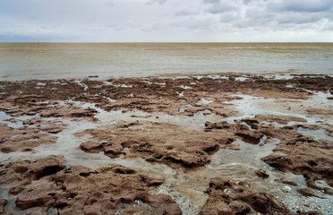 low tide at sea, the shore of the Sea of Azov