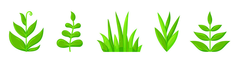 sprout plant green grass simple flat vector icon