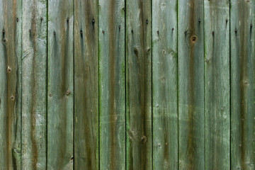 Wood background. Old gray wooden fence with green moss and nails. Vintage style.