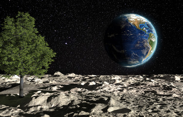 The surface of the moon with a green tree and the planet Earth on a background of the starry sky. Creative conceptual 3D rendering illustration. Fantasy about the colonization and gardening of planets