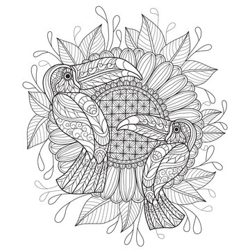 Hand drawn sketch illustration of Tucan bird and sunflower for adult coloring book.