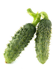 Young, small cucumbers isolated.