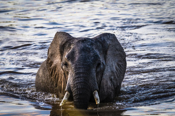 Fototapeta premium Luangwaquerung