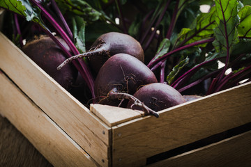 Fresh organic beetroots, plant based food