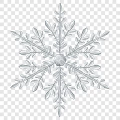 Fotobehang Big complex translucent Christmas snowflake in gray colors for use on light background. Transparency only in vector format © Olga Moonlight