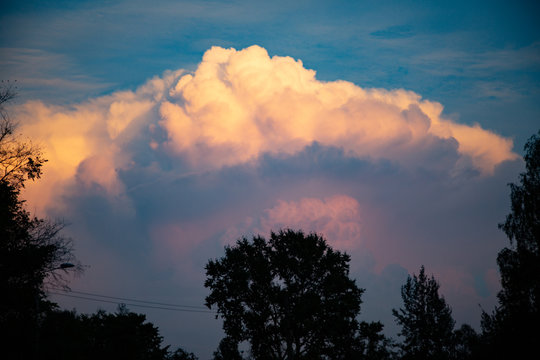 Big clouds like f rock of pink cotton wool above the trees at sunset hours
