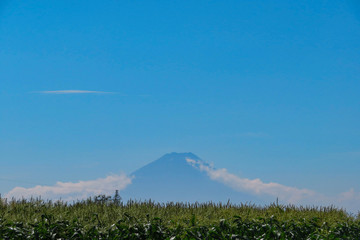夏の富士