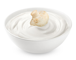 mushroom with mayonnaise, sour cream, yogurt, isolated on white background, clipping path, full depth of field