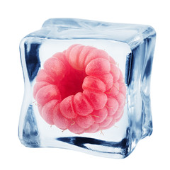 Raspberry in ice cube, isolated on white background, clipping path, full depth of field
