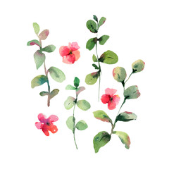 Vintage watercolor green leaves and red flowers, natural isolated illustration