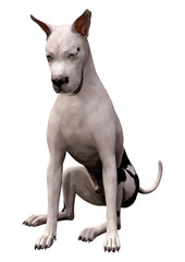 3D Rendering Grat Dane Dog on White