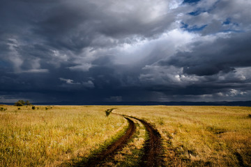 Stormy cloudy sky above the yellow field landscape