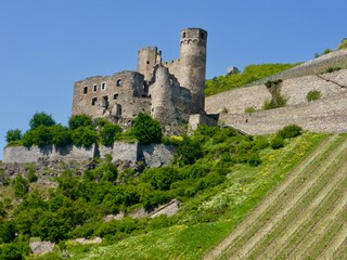 Fototapeta premium Ehrenfels Ruins and Vineyard on the Rhine River