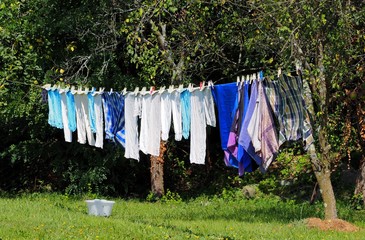 Laundry hanging on the clothesline between trees and over a lawn in a summer day .