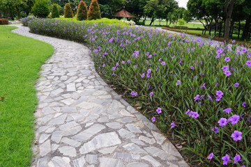 Stone walkway with grass and flower in garden. tree arrangement ,Landscaping in the garden area