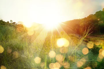Gardinen Schöner Sonnenaufgang in den Bergen.. Wiesenlandschaftserfrischung mit Sonnenstrahl und goldenem Bokeh. © sbw19