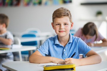 A small school boy sitting at the desk in classroom on the lesson, looking at camera.