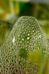 Water drops macro from a plastic bottle fifty megapixels