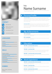 Professional personal resume cv with strips in blue white design