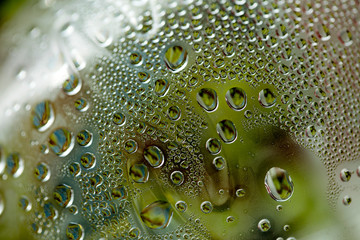 Water drops macro from a plastic bottle fifty megapixels