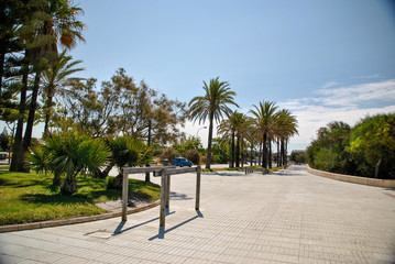 seaside street with palm trees in Andalusia in Spain