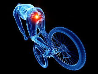 3d rendered illustration of a cyclists skeleton